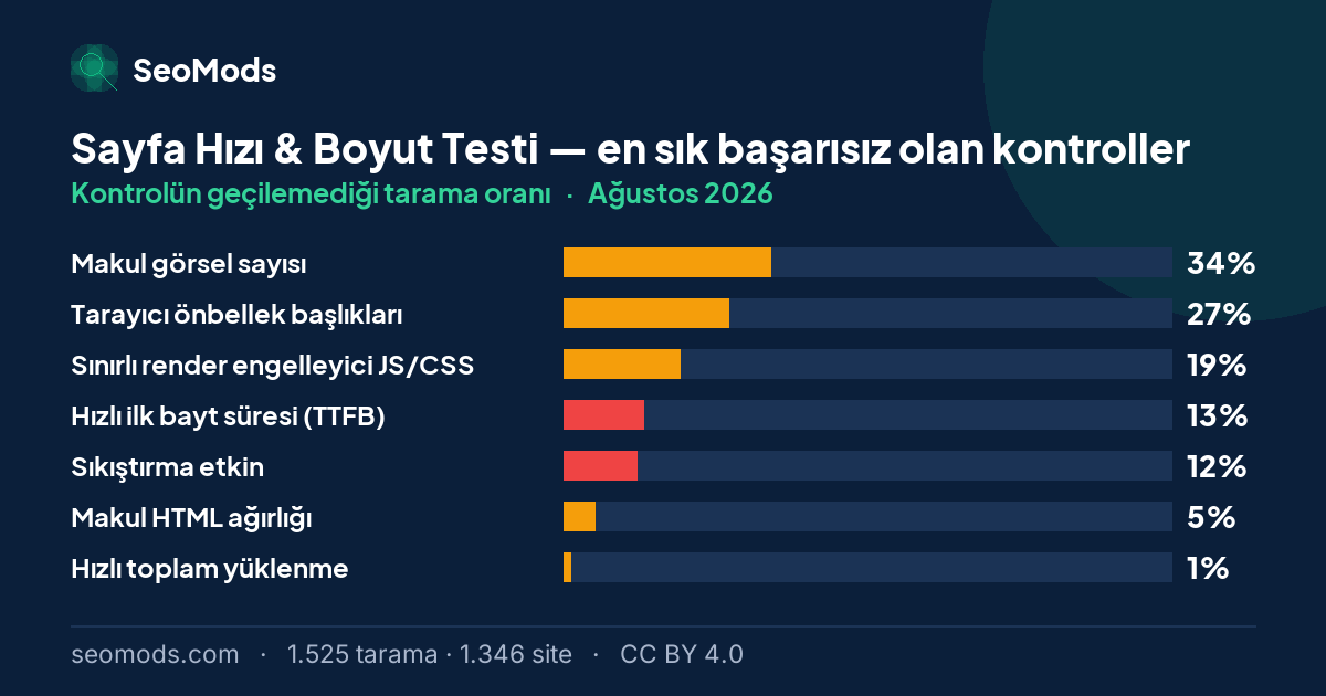 Ağustos 2026 ayında Sayfa Hızı & Boyut Testi aracında en sık başarısız olan kontroller ve oranları